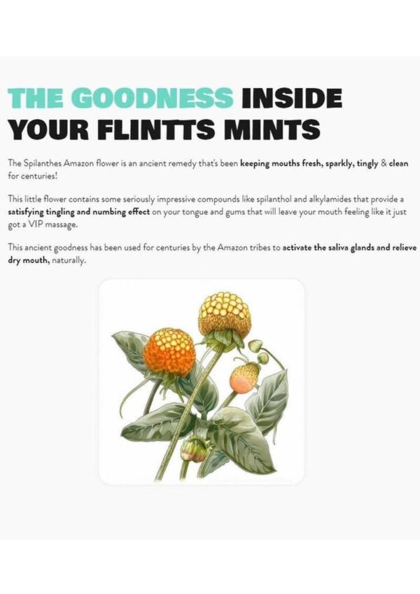FLINTTS MINTS LUXURY GRAPE 125 - Image 2