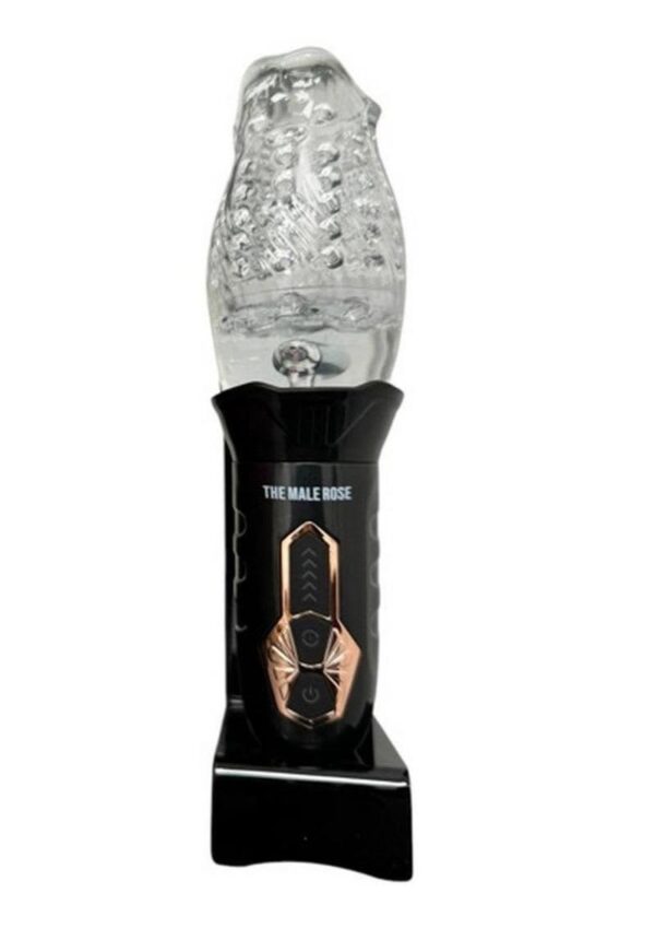 THE MALE ROSE - Image 2