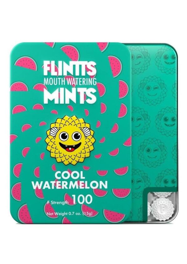 FLINTTS MINTS COOL WATERMELON 100