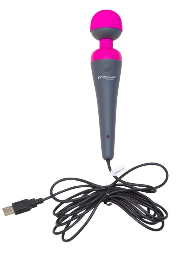 BMS PALM POWER USB PLUG & PLAY - Image 2