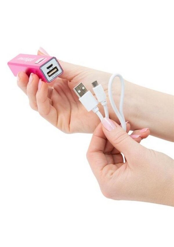 BMS PALM POWER USB PLUG & PLAY - Image 3
