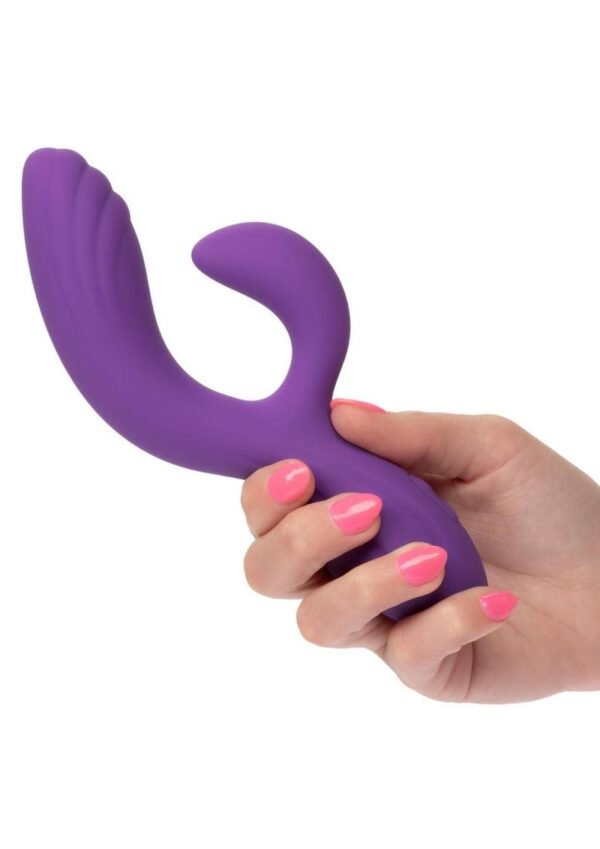 CAL EX STELLA C CURVE PURP - Image 3