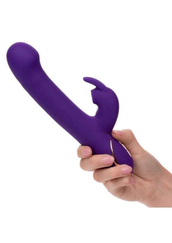 CAL EX SIGNATURE JACK RABBIT SUCTION PURPLE - Image 2